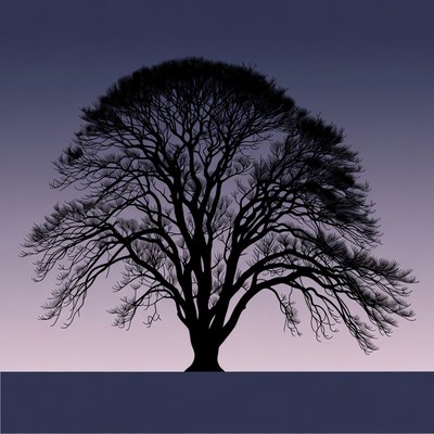 Silhouette of Bare Tree on Blue Background