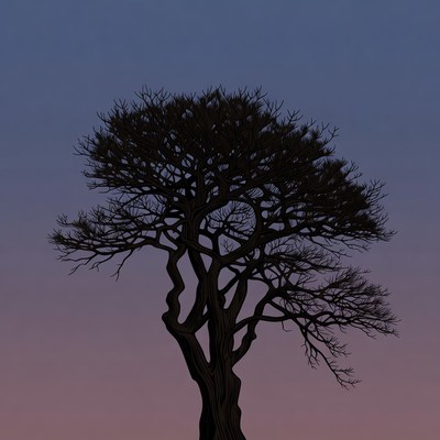 Silhouette of barren tree on twilight sky