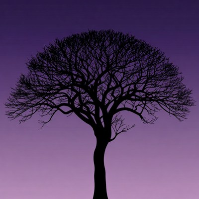 Silhouette of Bare Tree on Purple Background