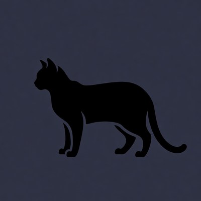 Black silhouette cat standing