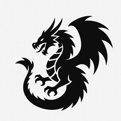 Black Silhouette Dragon Illustration