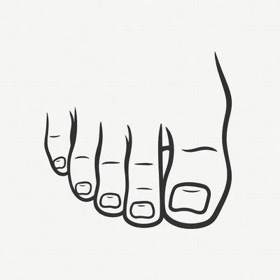 Five toes line art illustration