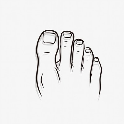 Line drawing of human foot