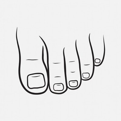 Five Toes Outline Illustration
