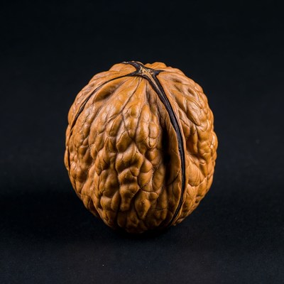 Whole Walnut on Black Background