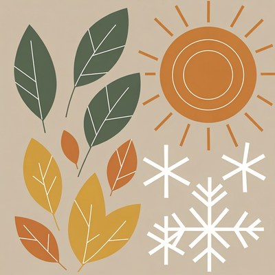 Autumn Leaves Sun Snowflakes Illustration