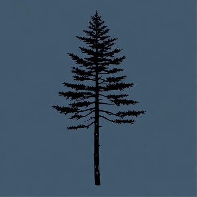 Black Silhouette Pine Tree