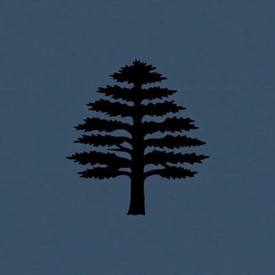 Black silhouette pine tree