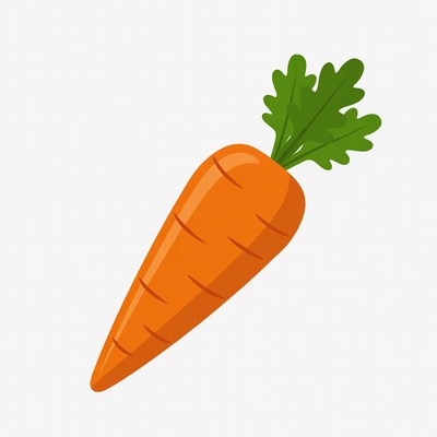 Fresh carrot illustration