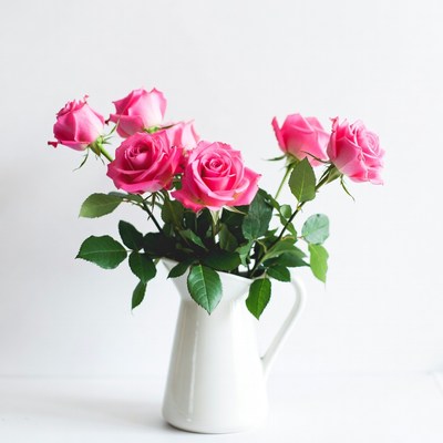 Pink Roses in White Pitcher