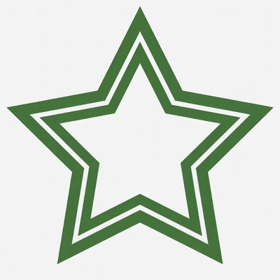 Green Outline Star Icon