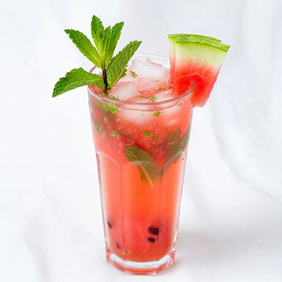 Watermelon Mojito with Mint Garnish