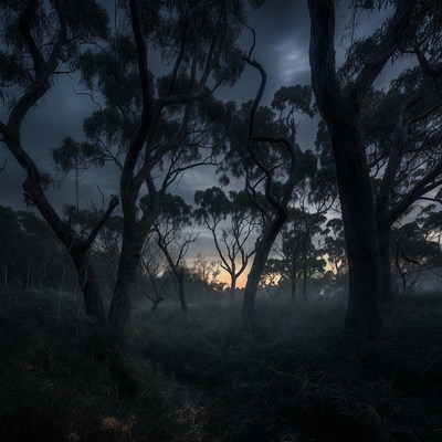 Dark Eucalyptus Forest at Twilight