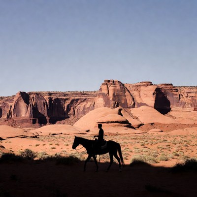 Silhouette of cowboy riding horse in desert