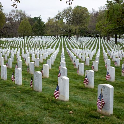 Rows of American Flags on White Headstones