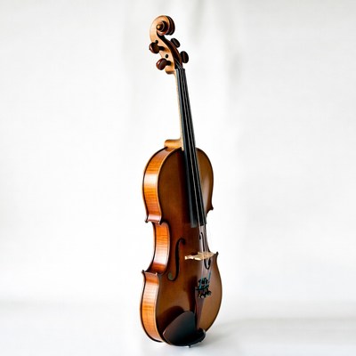 Violin on white background