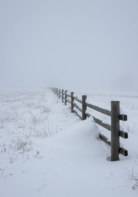 Wooden Fence in Snowy Fog