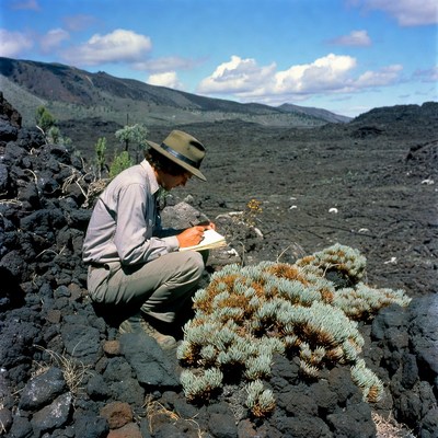 Man writing notes near volcanic plants