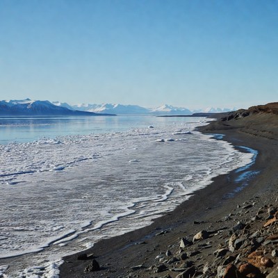 Icy Beach with Snowy Mountains