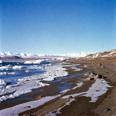 Icy Arctic Shoreline with Snowy Mountains