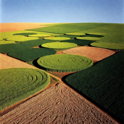 Circular Crop Fields Aerial View