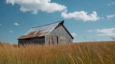 Rusty Barn in Golden Grass Field
