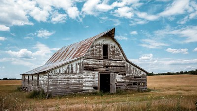 Old weathered barn in golden field