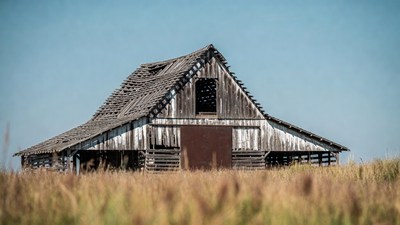Abandoned barn in tall grass field