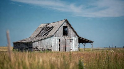 Old weathered barn in field