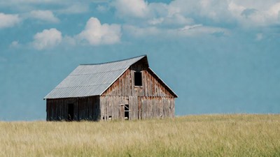 Rustic barn in golden field