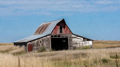 Rusty Red Barn in Golden Grass Field