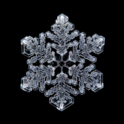 Detailed snowflake crystal on black