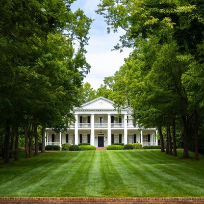 White Southern Mansion Framed by Trees