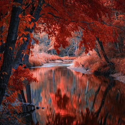 Autumn Trees Framing River Reflection
