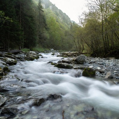 Mountain stream flowing over rocks