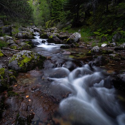 Mountain Stream Flowing Over Mossy Rocks