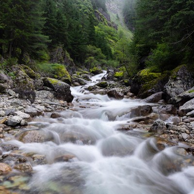 Mountain Stream Flowing Through Forest