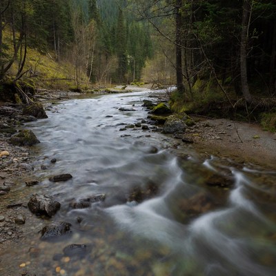 Mountain Stream Flowing Through Forest