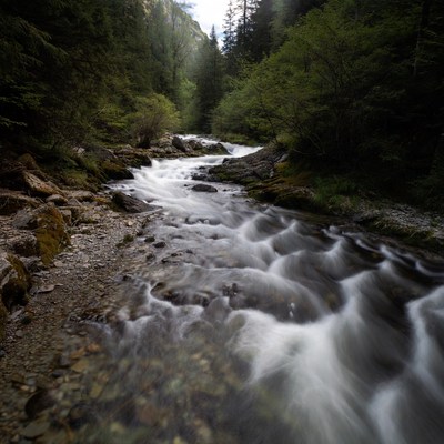 Mountain Stream Flowing Through Forest