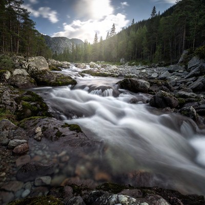 Mountain River Flowing Through Forest