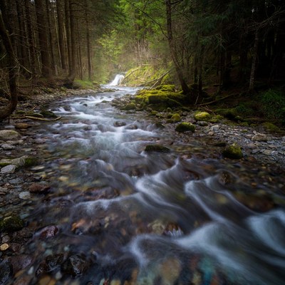 Waterfall in Dense Forest Stream
