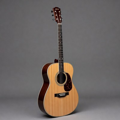 Taylor Acoustic Guitar