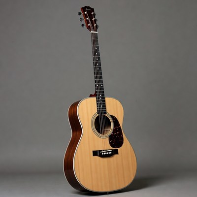 Ibanez Acoustic Guitar