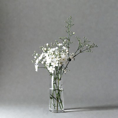 White baby's breath in glass vase