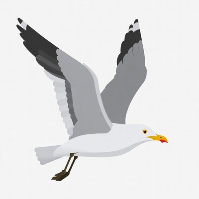 Cartoon seagull flying with wings spread