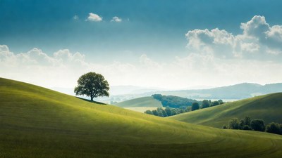 Lone Tree on Rolling Green Hills