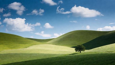 Lone Tree on Green Rolling Hills