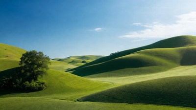 Rolling Green Hills Landscape