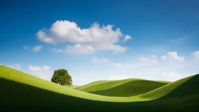 Lone Tree on Rolling Green Hills