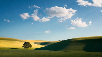 Lone Oak Tree on Rolling Hills